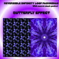 Butterfly Effect