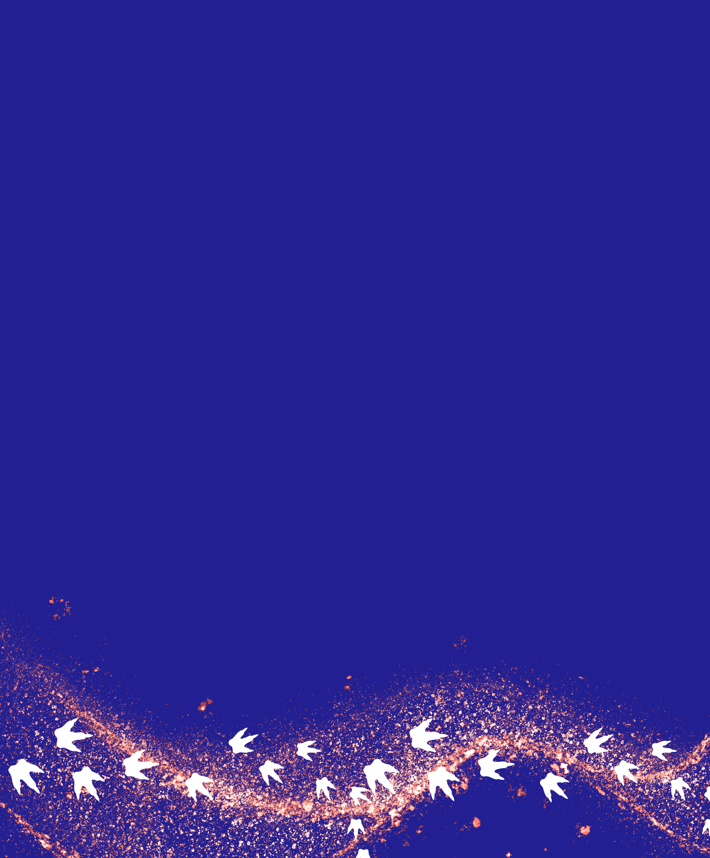 Wilms (Custom)